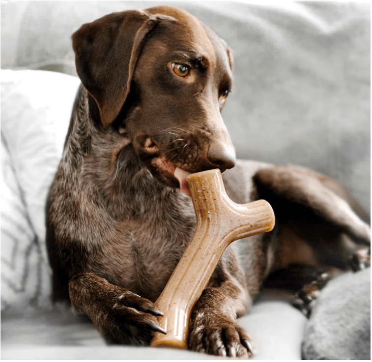 Benebone Dog Toy